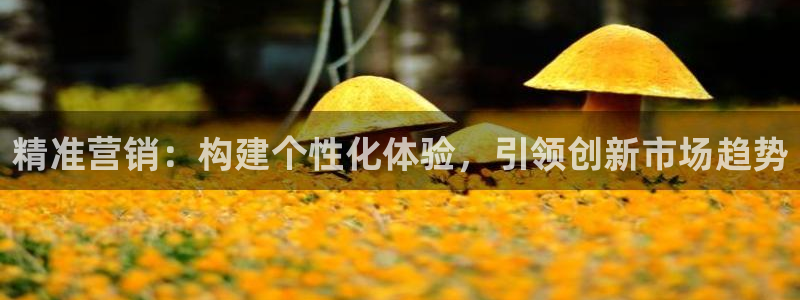 必赢棋盘官网版：精准营销：构建