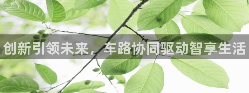 必赢手机app下载最新版本安卓