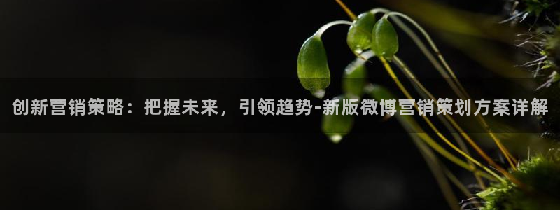必赢国际437a