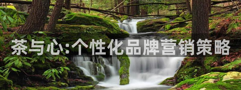 必赢官网网站入口网址：茶与心: