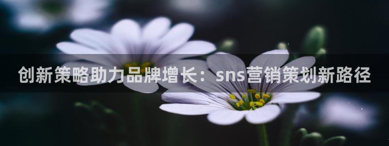 必赢科技：创新策略助力品牌增长