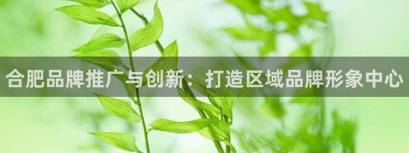 必赢网址谁知道