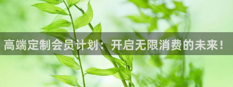 必赢官网网站入口下载：高端定制