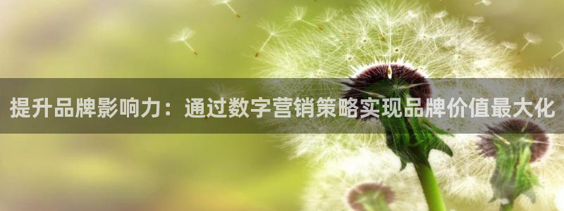 必赢官网网址多少号