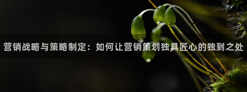必赢3003网官