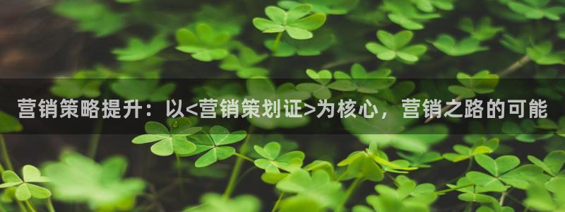 必赢必赢