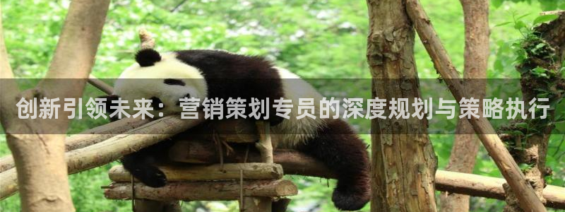 必赢活动安卓下载app