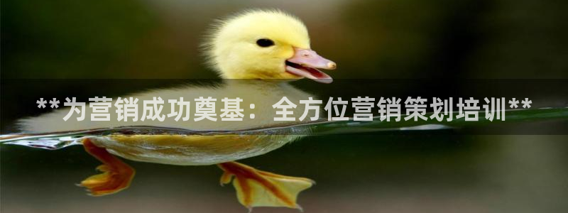 必赢网站有哪些