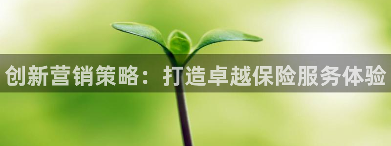 必赢网站有哪些