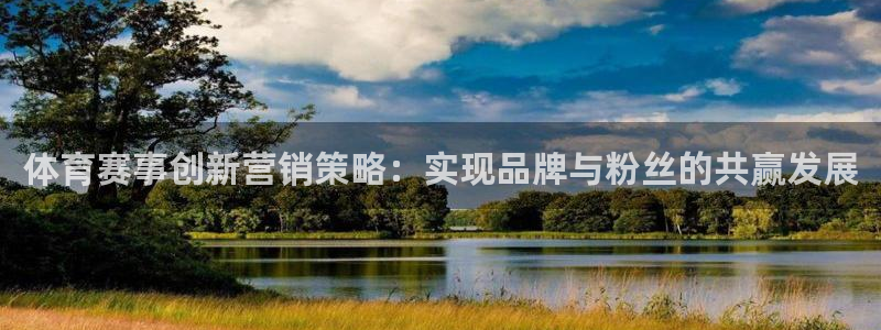 必赢平台网站多少